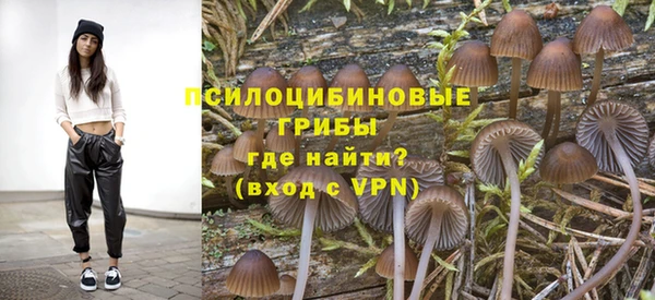 таблы Переславль-Залесский