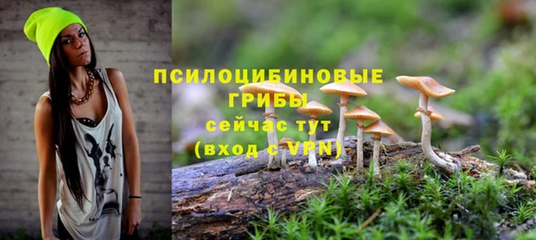 бошки Покровск