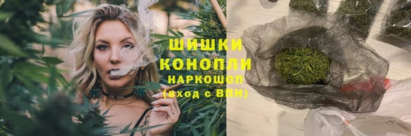 ПСИЛОЦИБИНОВЫЕ ГРИБЫ Бородино