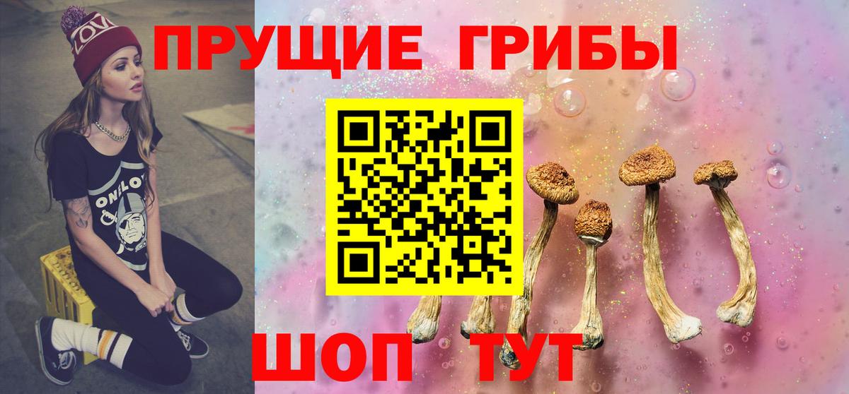 Псилоцибиновые грибы мухоморы Большой Камень