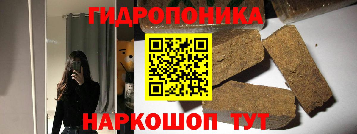 Канабис марихуана  Конопля план  Большой Камень  Вход с VPN 